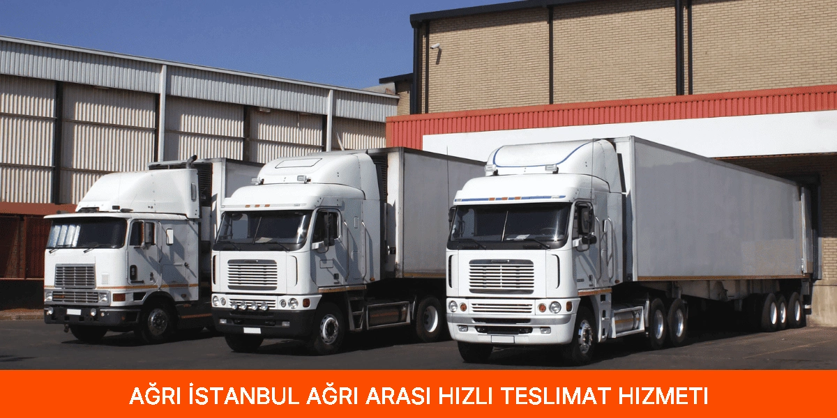 İstanbul Ağrı Arası Hızlı Teslimat Hizmeti