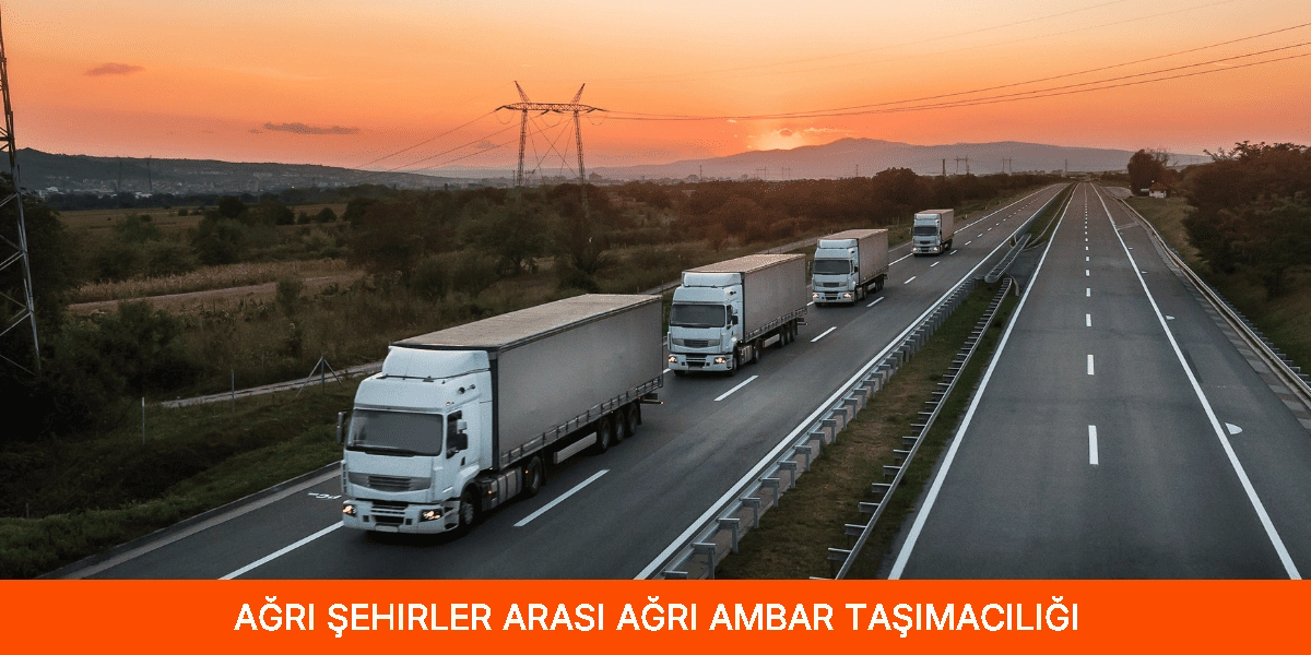 Şehirler Arası Ağrı Ambar Taşımacılığı